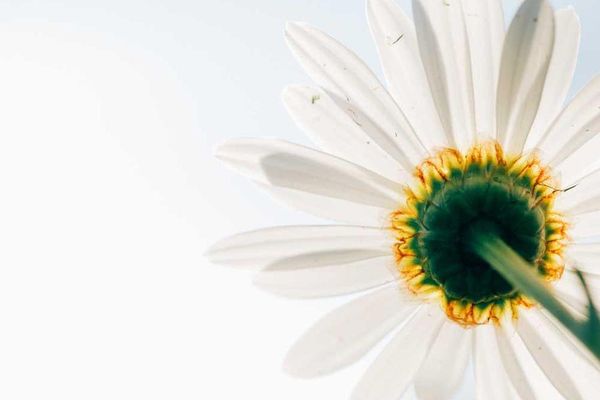 Another Blog